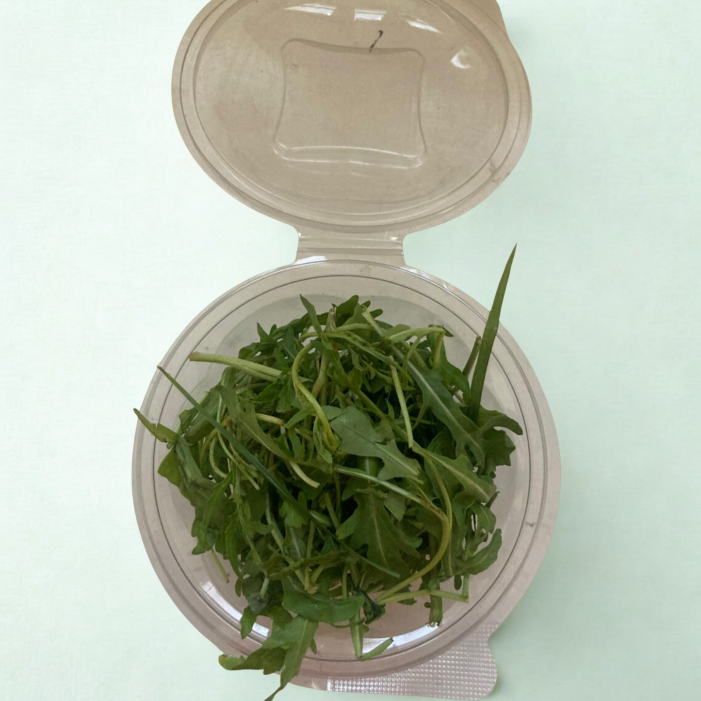 Roquette fraîche – جرجير طازج – Fresh Arugula