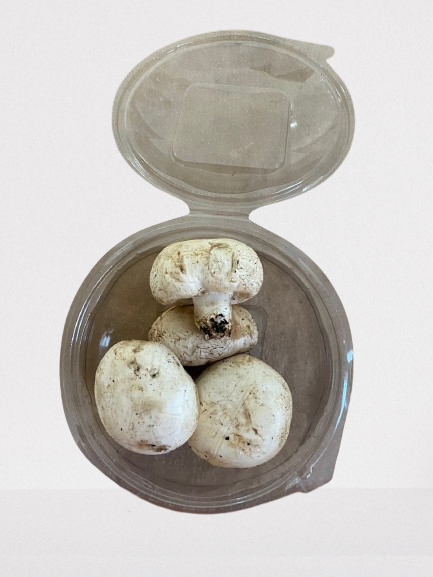 Champignons de Paris