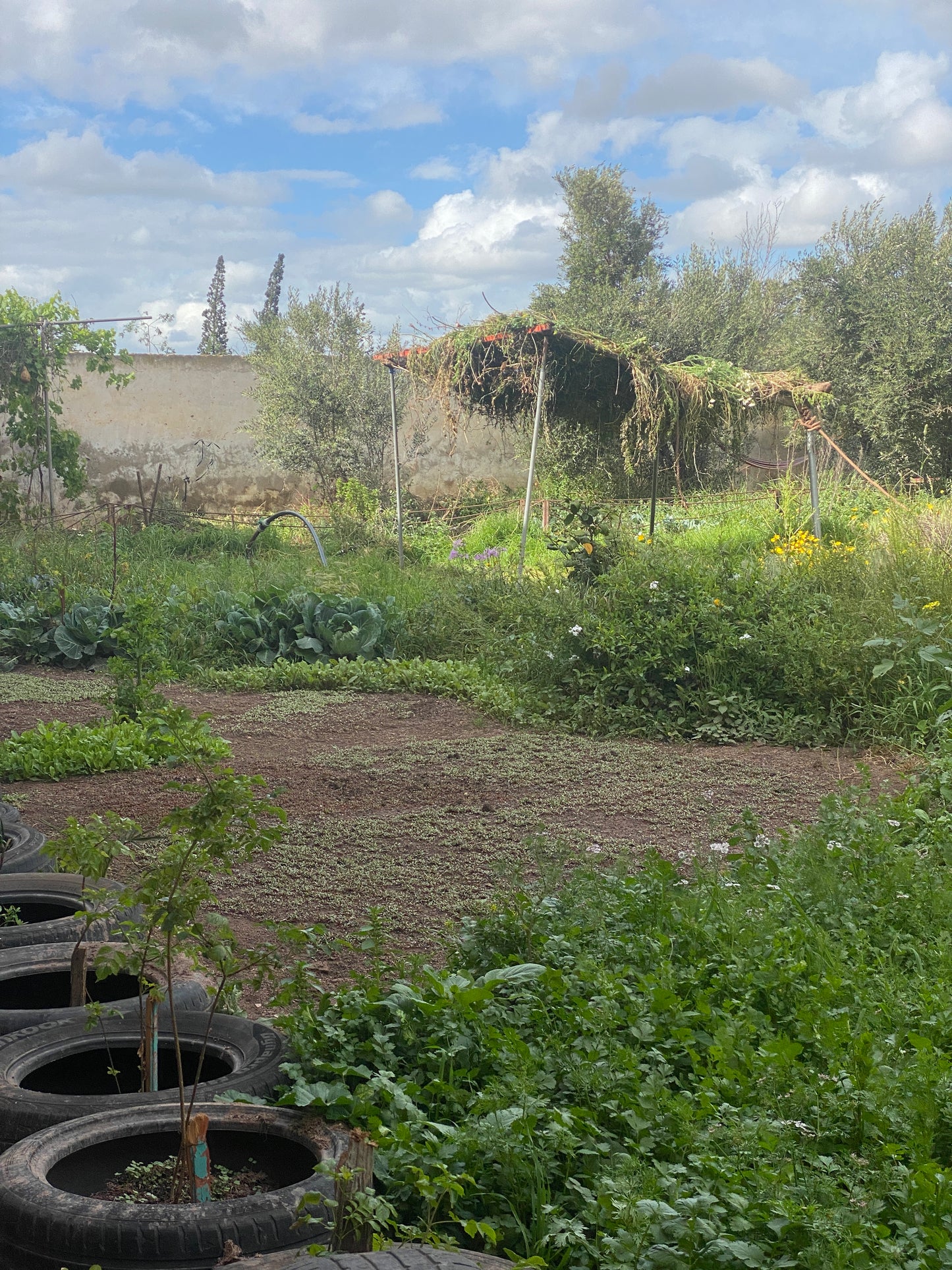 Passer une journée chez la ferme beleaf