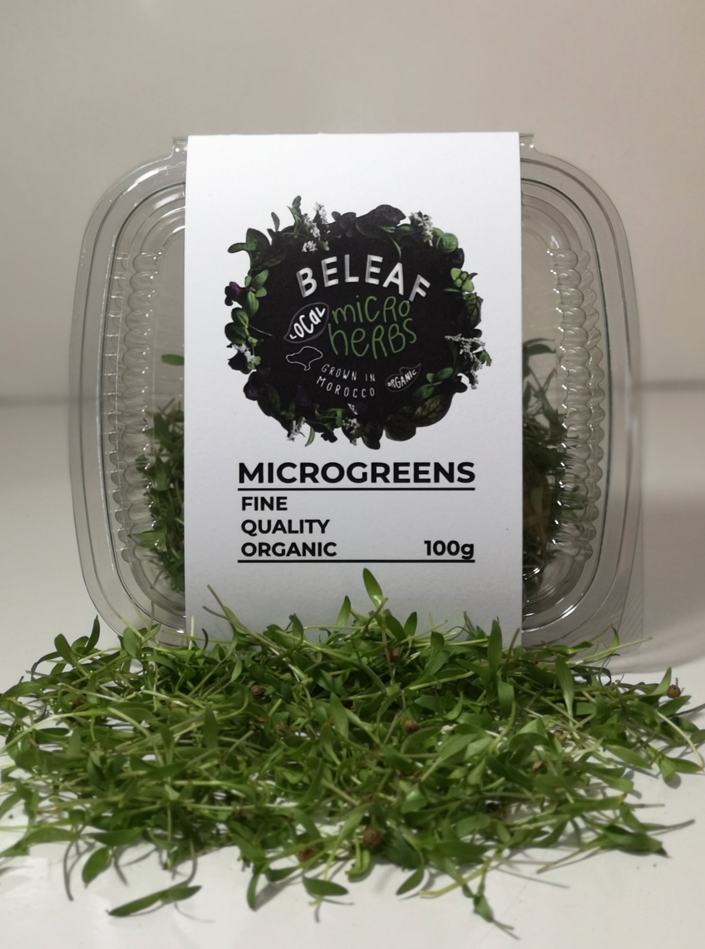 Micropousses de Coriandre Bio - كزبرة - Herbe Aromatique Fraîche | BELEAF Maroc
