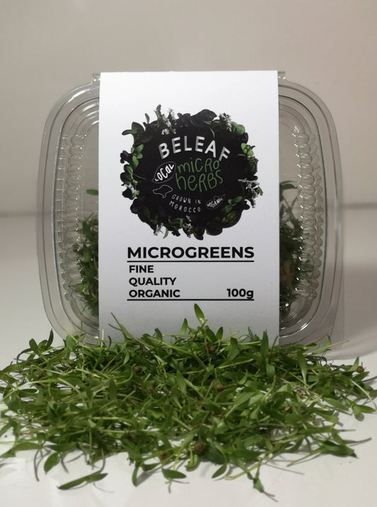 Micropousses de Coriandre Bio - كزبرة - Herbe Aromatique Fraîche | BELEAF Maroc