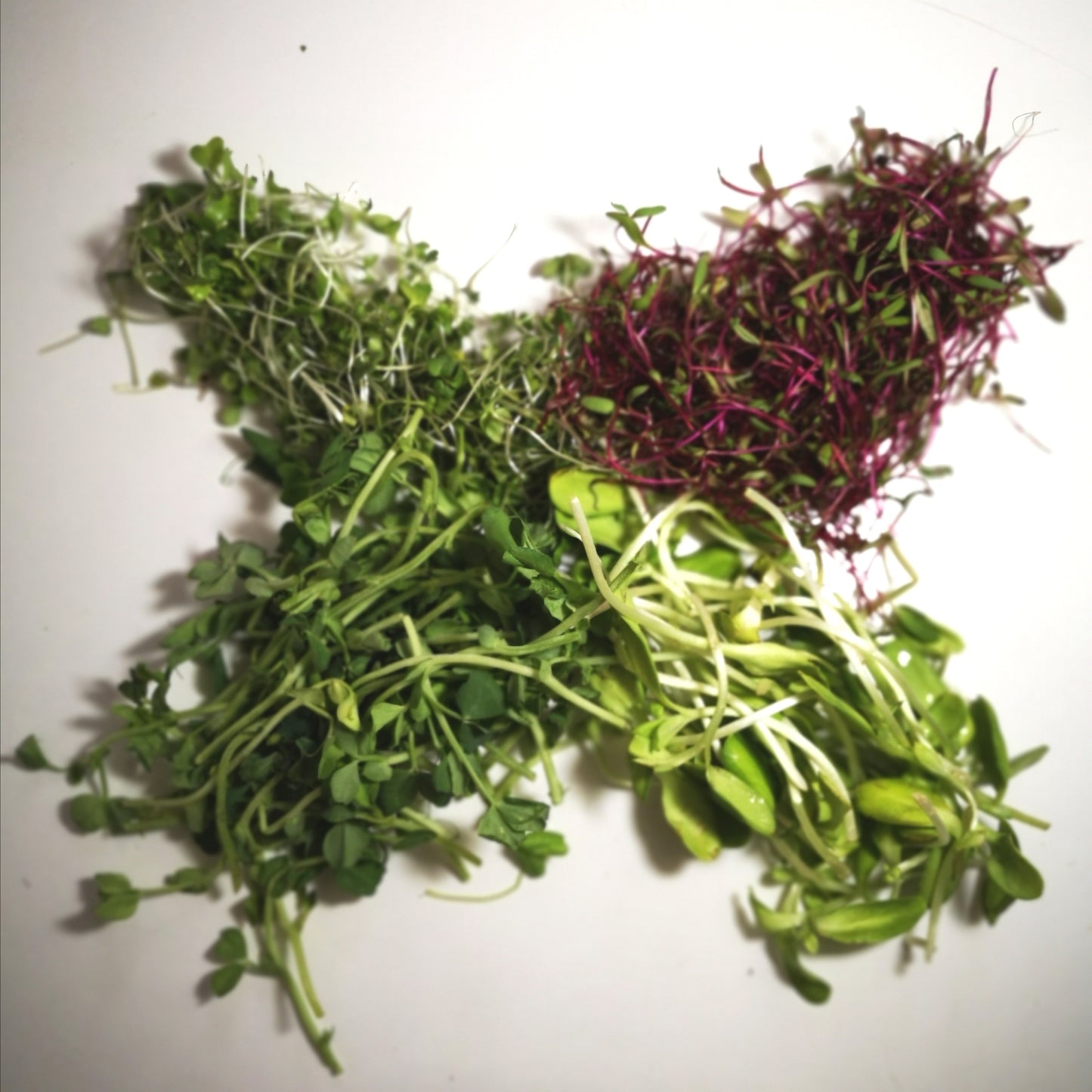 Mélange de smoothies