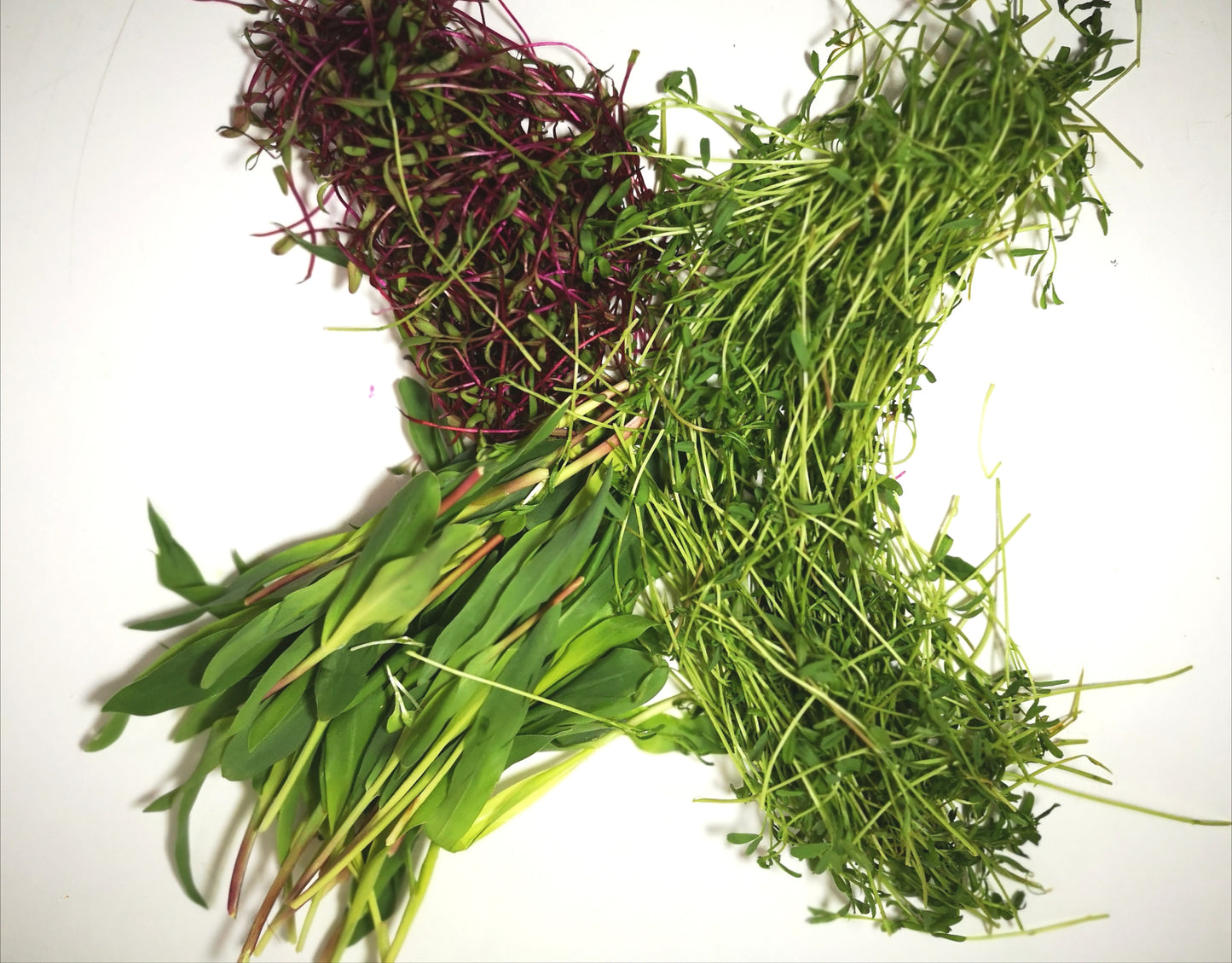 Mélange de smoothies