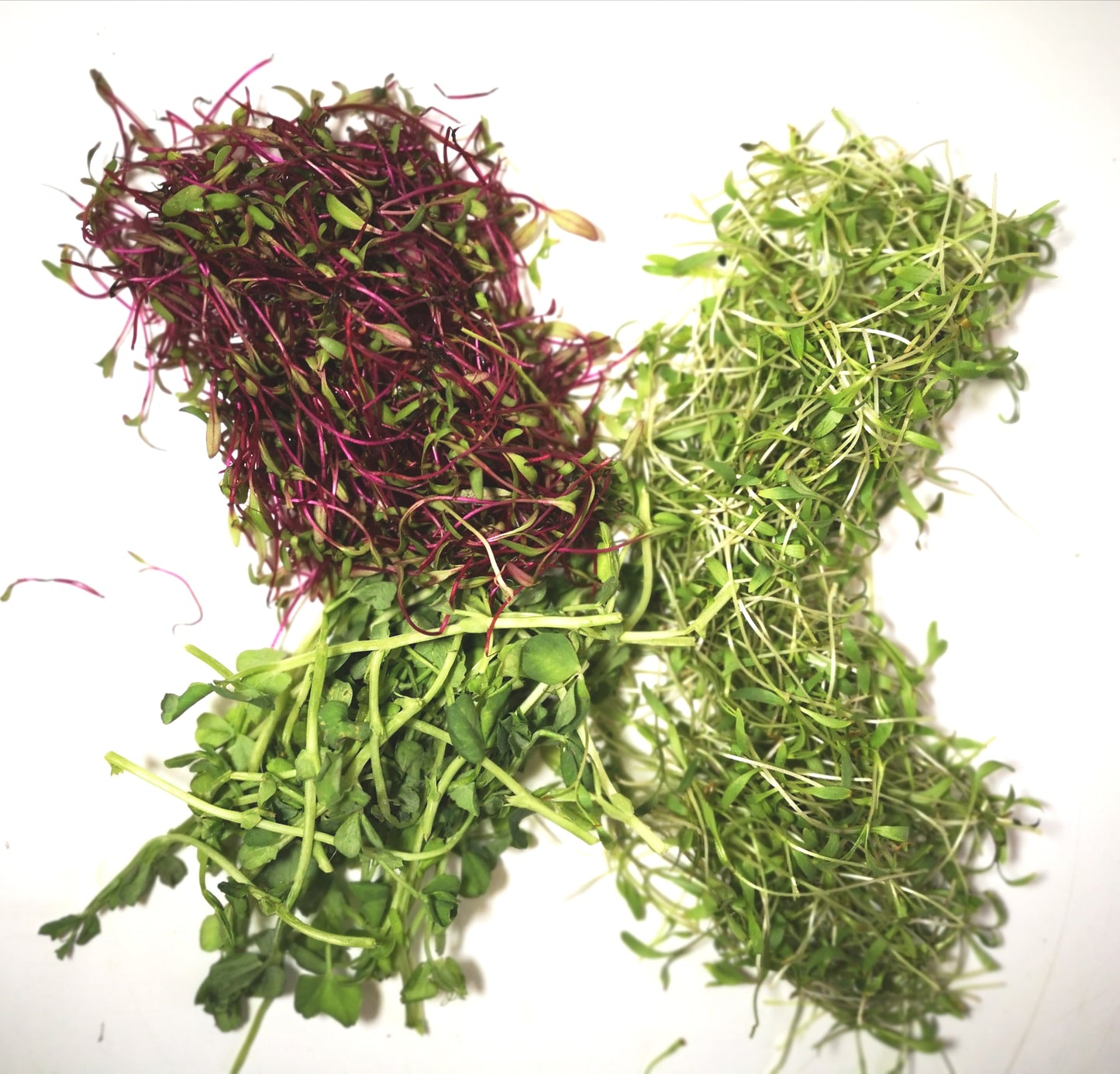 Mélange pour les plats de viande