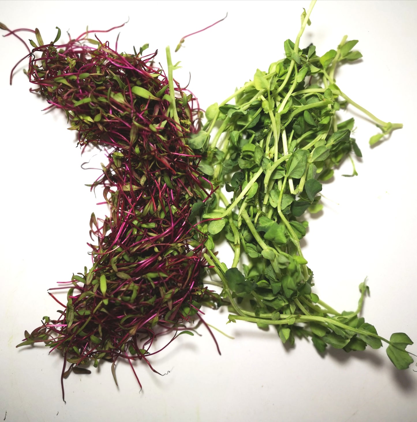 Mélange pour les plats de viande