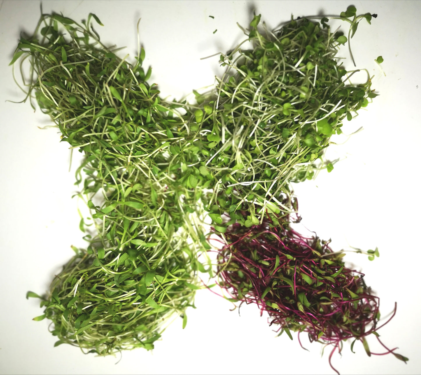 Mélange pour la purée de légume