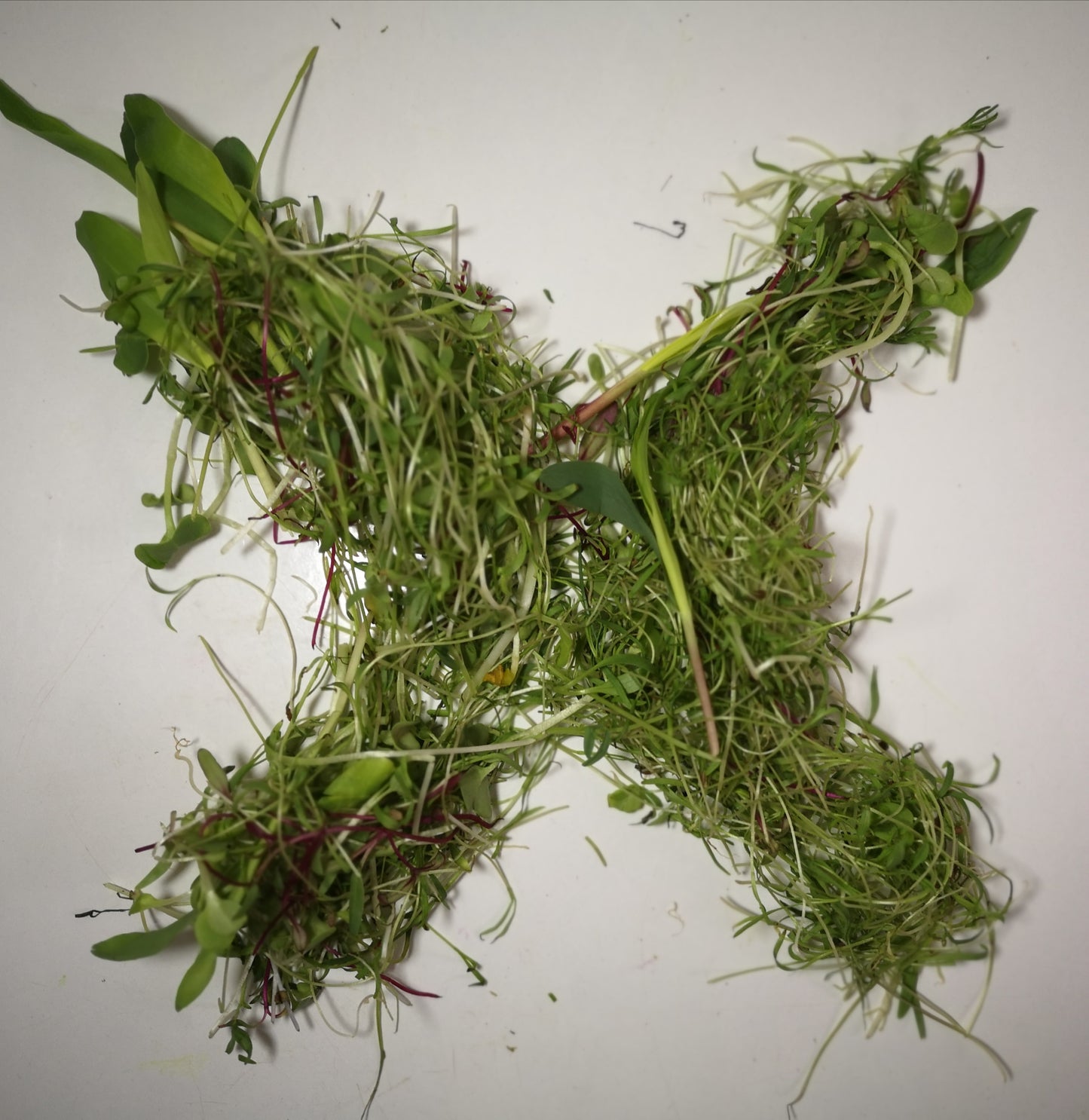 Mélange pour la purée de légume