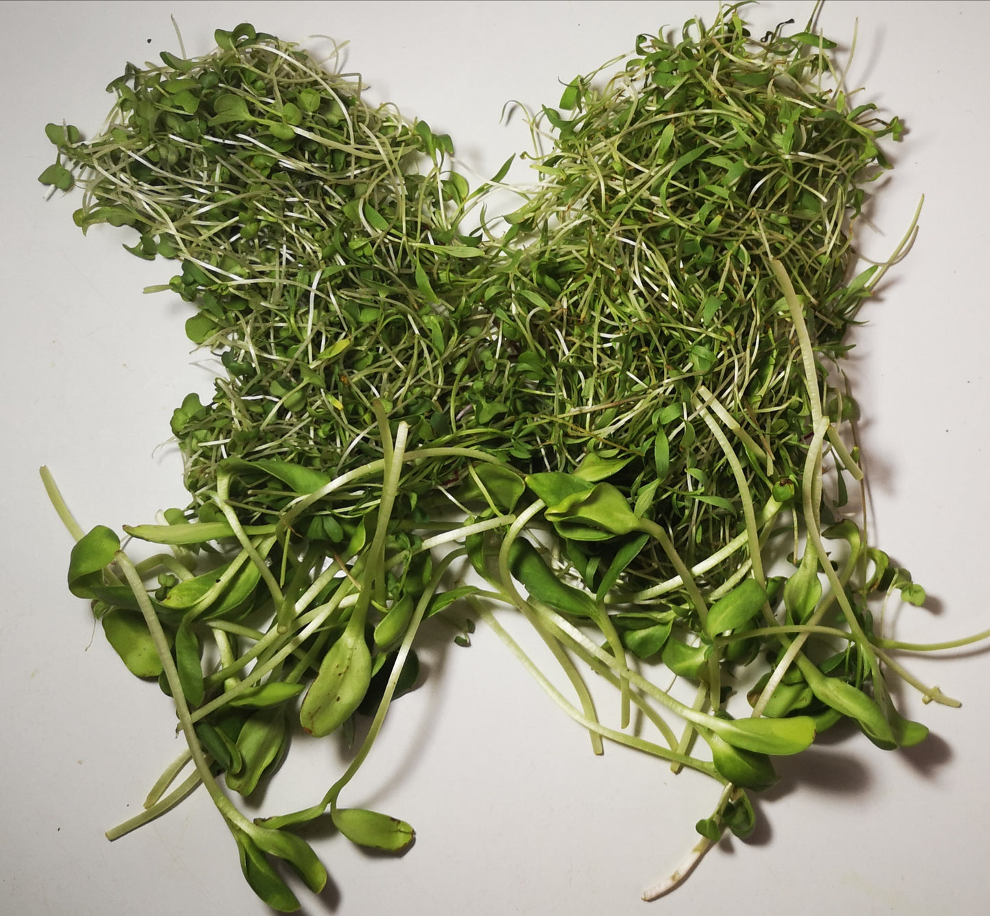 Mélange de sandwich