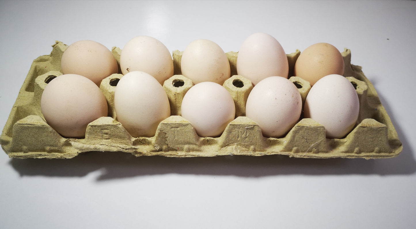 Compostion Omelette
