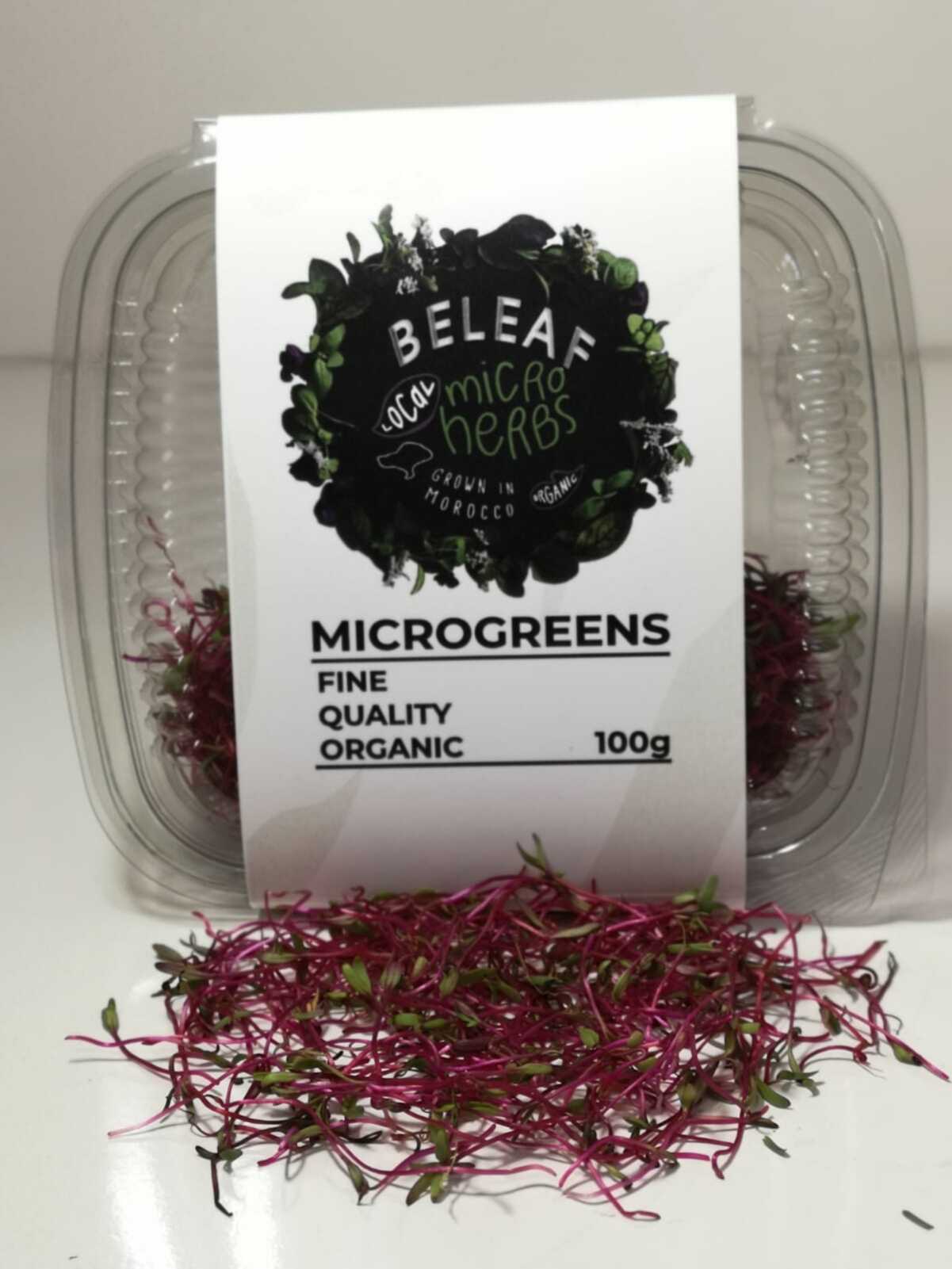 Micropousses de Betterave Bio - الشمندر - Superaliment Frais et Nutritif | BELEAF Maroc