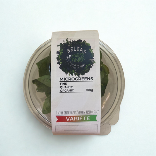 Basilic frais – ريحان طازج – Fresh Basil