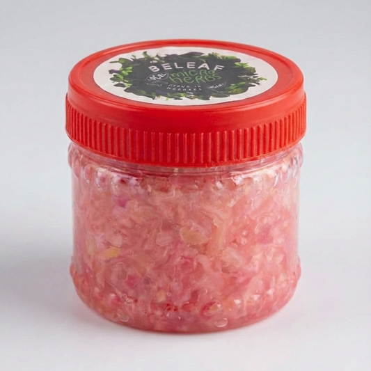 Radis Fermenté Naturel | Digestion & Probiotiques – BELEAF