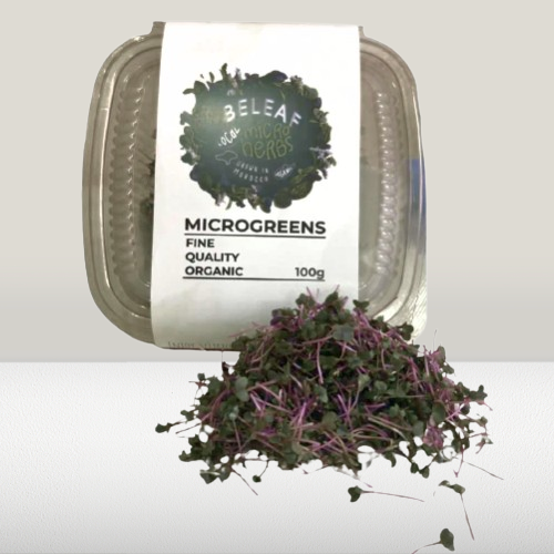 Choux rouge - كرنب أحمر - Red cabbage