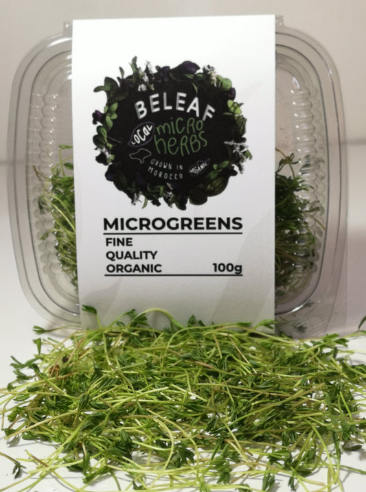 Micropousses de Lentilles Bio - العدس - Superaliment Riche en Protéines | BELEAF Maroc