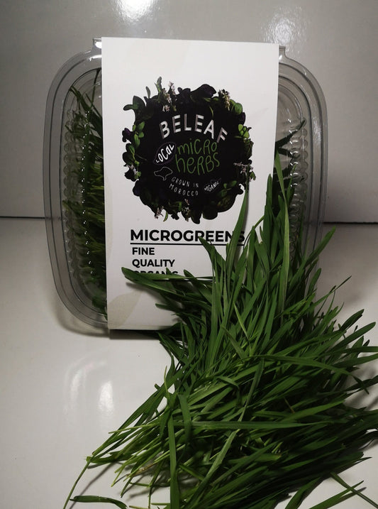 Herbe de blé - عشب القمح - Wheat grass