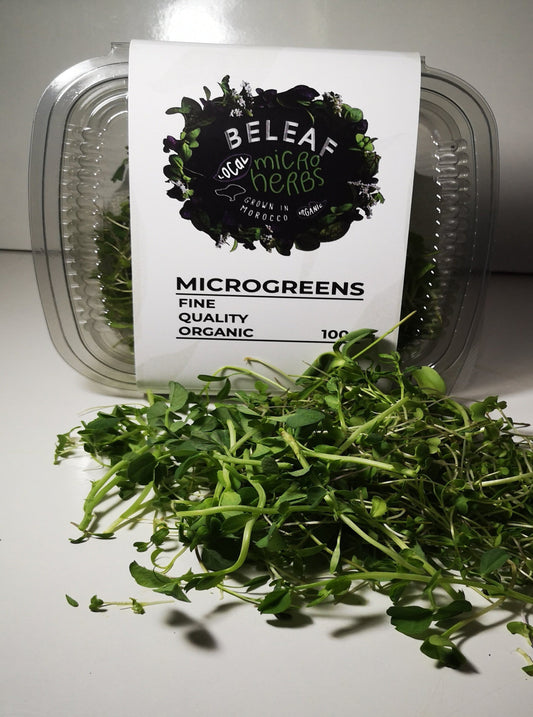Mélange de salade
