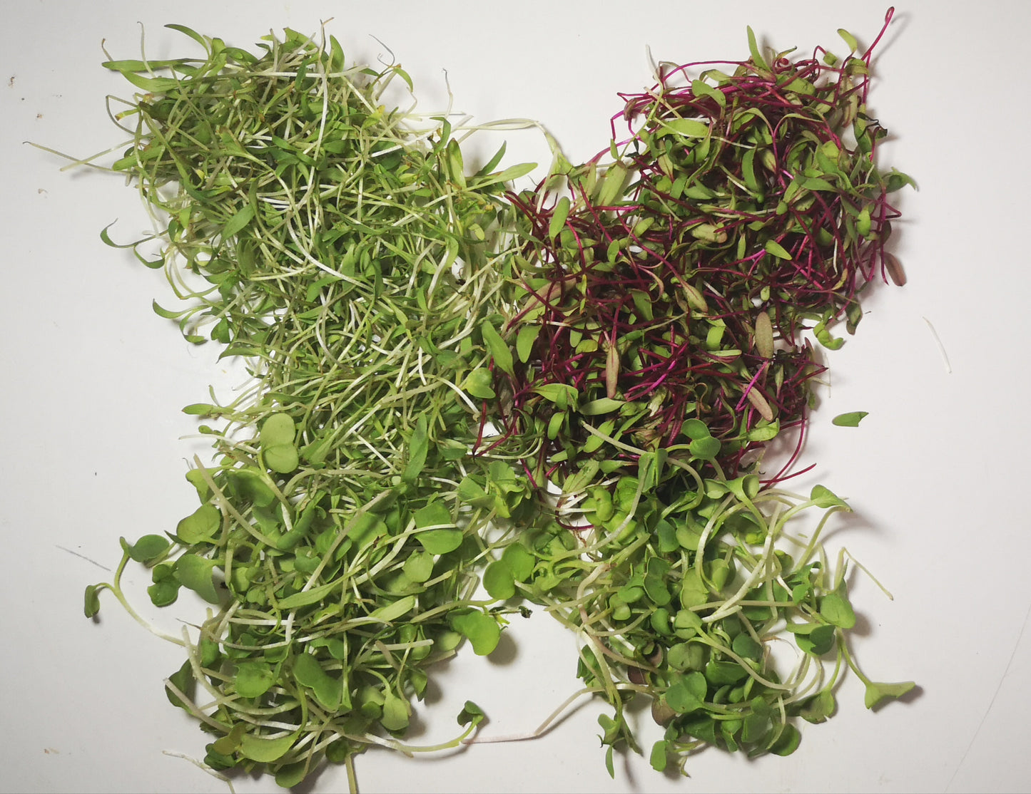 Compostions detox