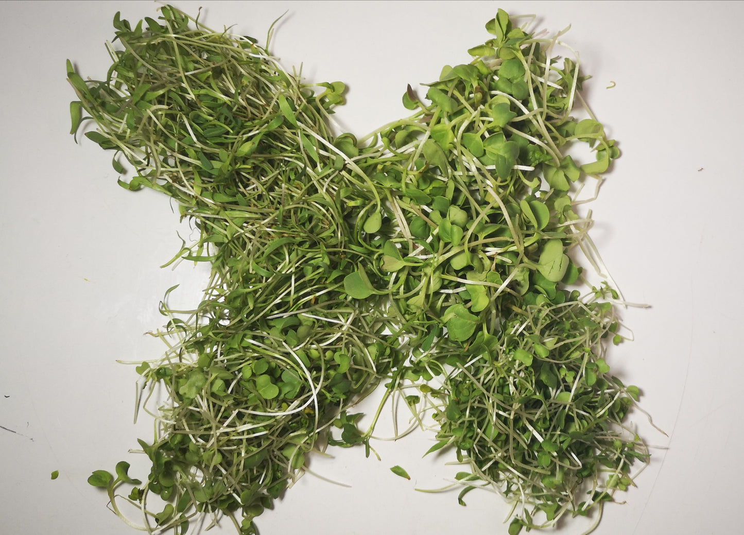 Compostions detox
