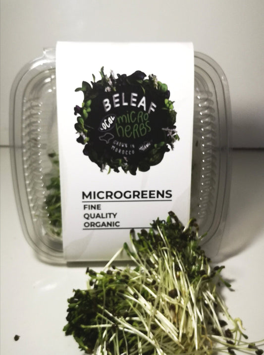 Micropousses de Fenugrec - Bienfaits et Apport Nutritionnel | BELEAF Maroc