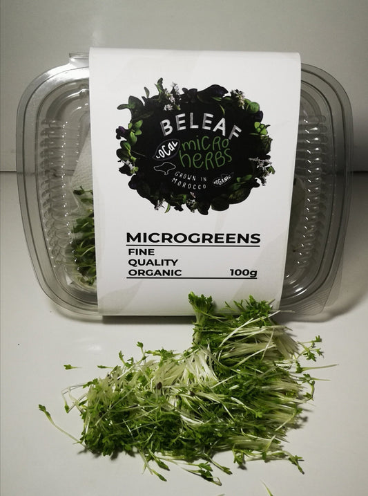 Micropousses de Cresson Bio - رشاد - Superaliment Riche en Nutriments