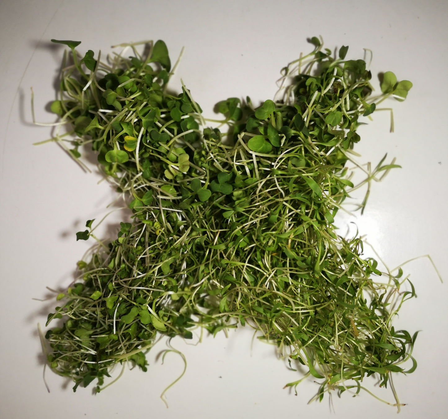 Mélange de salade