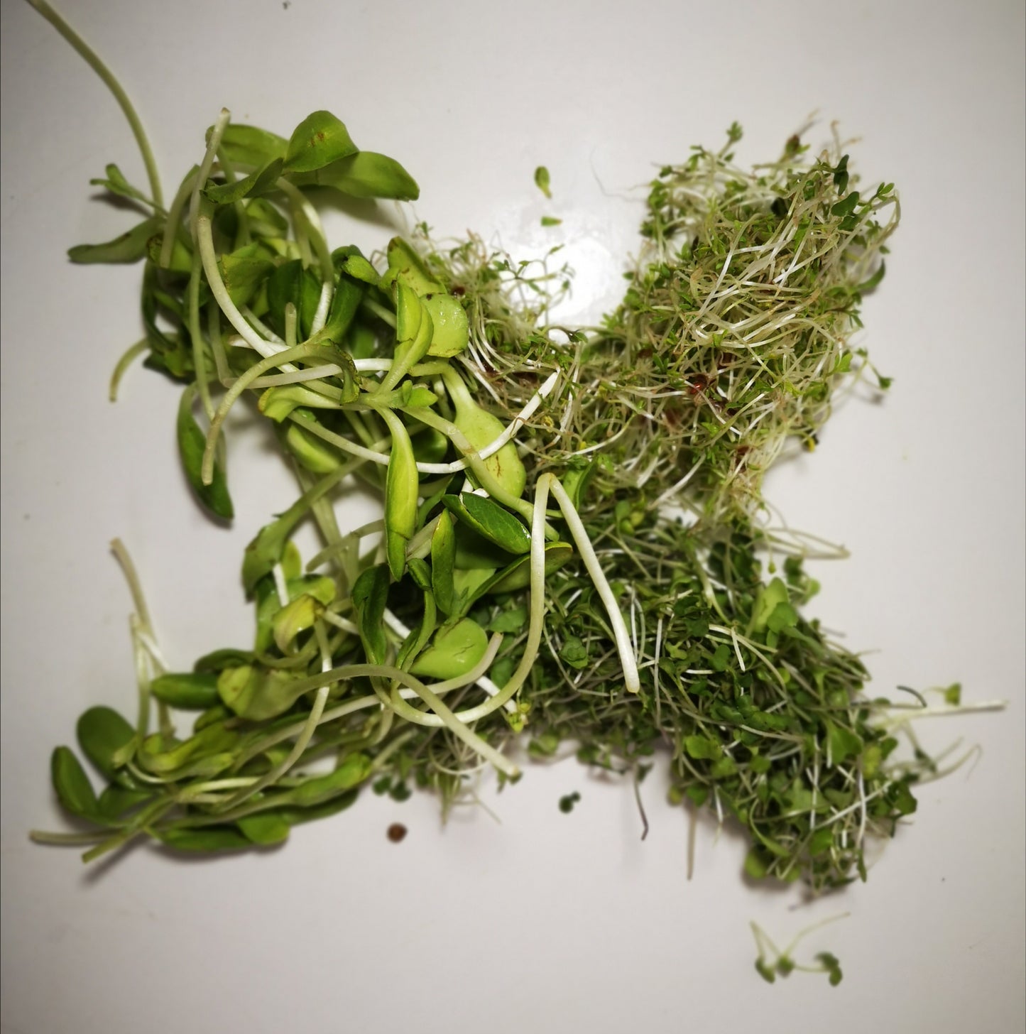 Mélange de salade