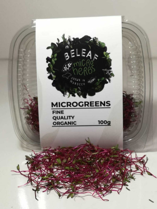 Micropousses de Betterave Bio - الشمندر - Superaliment Frais et Nutritif | BELEAF Maroc
